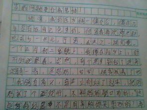 作文,我為,校園,添吧綠