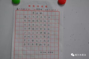 作文,憲法,進校園