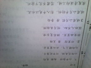 校園里的掌聲作文600字