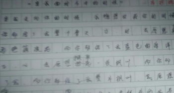 校園里的笑聲作文650字