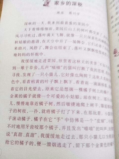 作文,千字,風光,校園