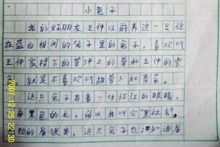 描寫(xiě)夏天校園的作文100個(gè)字,描寫(xiě)夏天的校園作文300字,描寫(xiě)校園夏天景色的作文