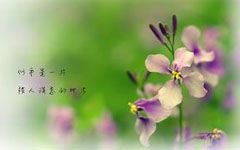 關(guān)于春天的作文的作文的賞析,關(guān)于春天的作文賞析,關(guān)于春天的作文加賞析
