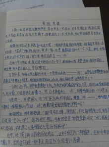 小學(xué)生作文充滿(mǎn)愛(ài)的校園
