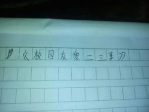 校園友愛(ài)二三事600字作文