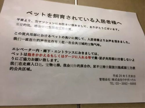手機禁止帶入校園英語(yǔ)作文,關(guān)于手機是否帶入學(xué)校的英語(yǔ)作文,手機是否能帶入校園英語(yǔ)作文