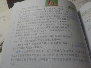 以校園中的兩種植物為題寫(xiě)一篇作文300字