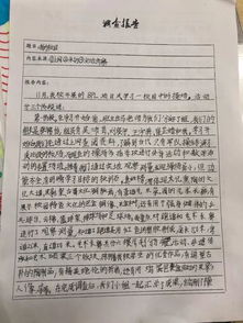 作文,四級(jí),人教版,操場(chǎng)