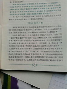 校園的一處風(fēng)景作文400字四年級,我的樂(lè )園校園四年級作文400字,校園里的花壇作文400字左右四年級