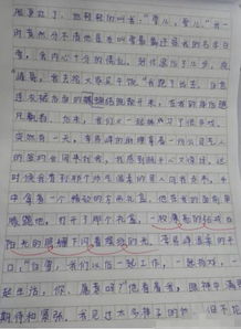作文,描寫,小學(xué)生,校園