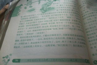 校園運動(dòng)會(huì )活動(dòng)作文400字