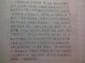 作文,校園