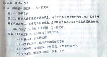 小標題,作文,寫(xiě)真,校園