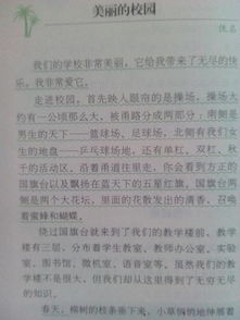 作文,校園里,快樂