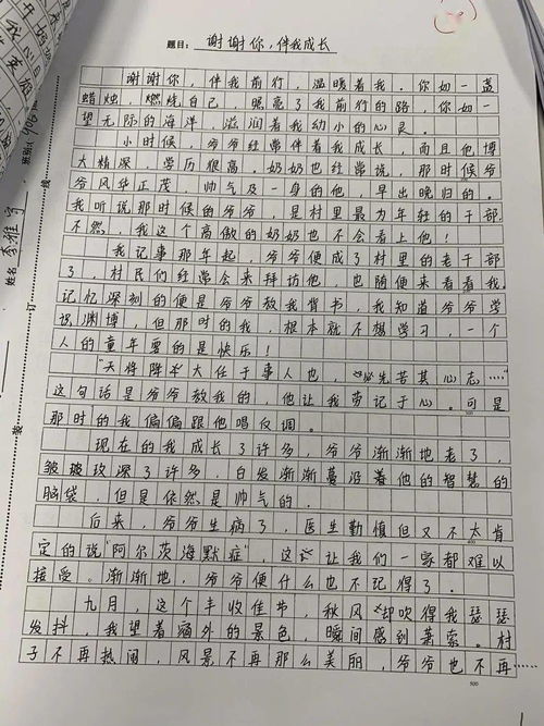 作文,結尾,開(kāi)頭,溫暖