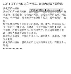我會,我愛,作文,問好