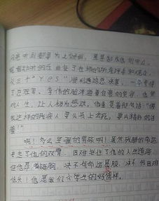 我的校園作文寫(xiě)人300