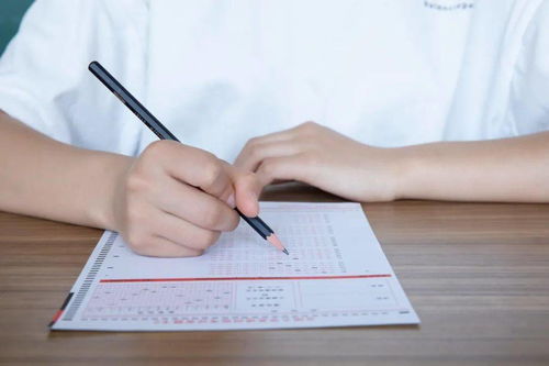 豐富多彩的校園生活作文800字初中,豐富多彩的校園生活作文500字,豐富多彩的校園生活作文450字