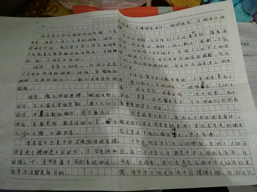 校園傳統文化節作文500字