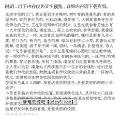 小學(xué)生描寫(xiě)校園秋色的作文四百字