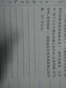 作文,描寫(xiě),夏天,校園