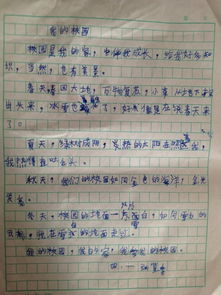 小學(xué)生描寫自己性格的作文,小學(xué)生校園安全作文,小學(xué)生校園種菜作文