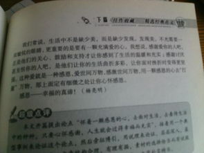以愛(ài)心點(diǎn)燃校園為主題的作文