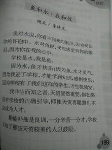 作文,環(huán)境,校園,百字