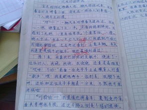 校園禁煙作文400個(gè)字