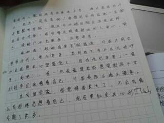 校園里的家作文500字作文