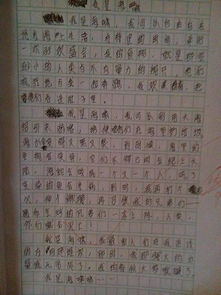 校園的銀杏樹(shù)200字作文三級