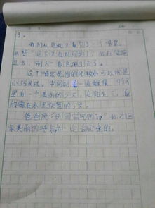 校園里景物的作文四下