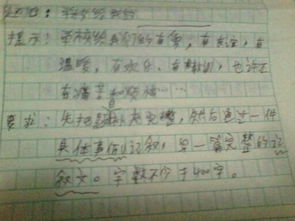 校園中的快樂(lè )作文400字