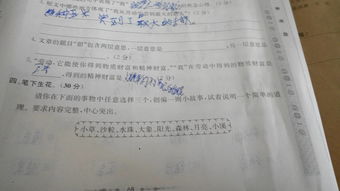 校園里最開(kāi)心的事情作文600字作文怎么寫(xiě)