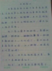 作文,四級(jí),植物,美麗