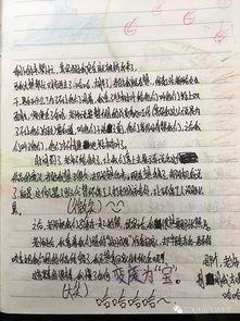 走進校園教育大學(xué)作文