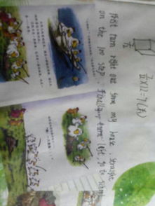 可愛的校園我的家作文600字,可愛的校園三年級(jí)作文,可愛的校園300字作文