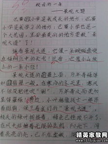作文,最美,結尾,開(kāi)頭