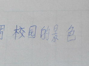 以我的校園為題的作文350字作文怎么寫(xiě)