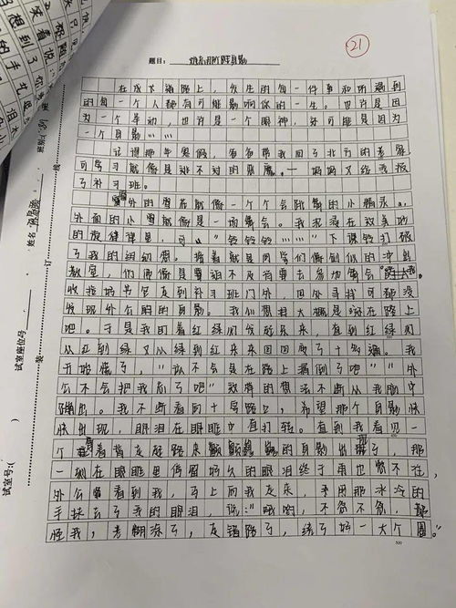 我在,作文,留個(gè),校園