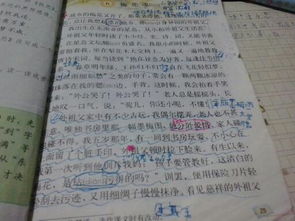 作文,喜歡,校園
