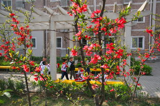 美麗的春天作文評語(yǔ),小學(xué)生關(guān)于春天的作文的評語(yǔ),關(guān)于春天作文的評語(yǔ)精選