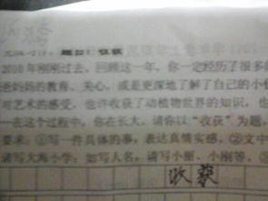 描寫(xiě)校園一角的作文450字