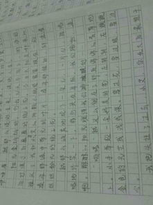 農大校園作文150字