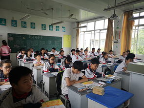 防校園欺凌心得體會(huì)作文600字,拒絕校園欺凌心得體會(huì)作文400字,校園欺凌心得體會(huì)作文300字