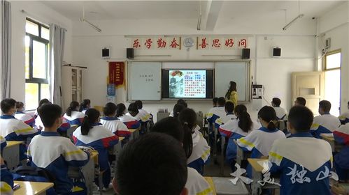 我的復學(xué)校園生活作文