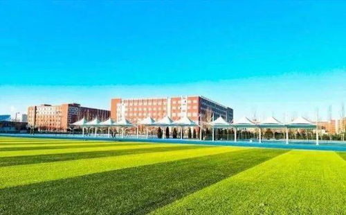 多姿多彩的校園生活大學作文