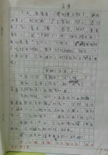作文,觀察,校園