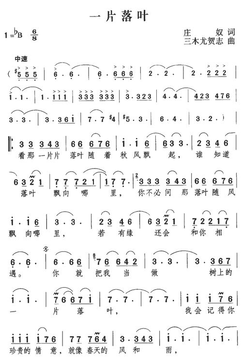 一片落葉經過校園作文