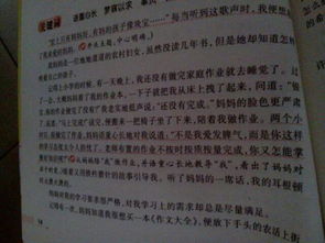 來(lái)自校園的美好作文500字字